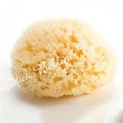 Bellini - Éponge De Mer Naturelle Honeycomb, Moyenne